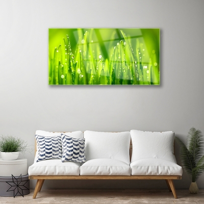 Image sur verre acrylique Herbe nature vert