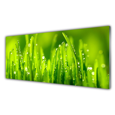 Image sur verre acrylique Herbe nature vert