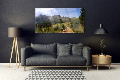 Image sur verre acrylique Forêt montagne nature gris vert