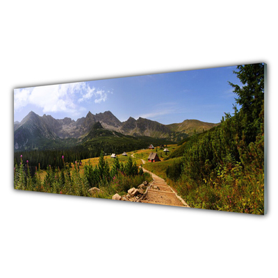 Image sur verre acrylique Forêt montagne nature gris vert
