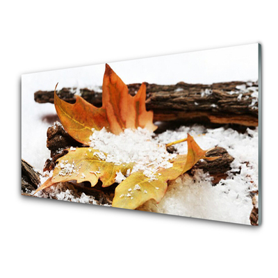 Image sur verre acrylique Feuille floral brun