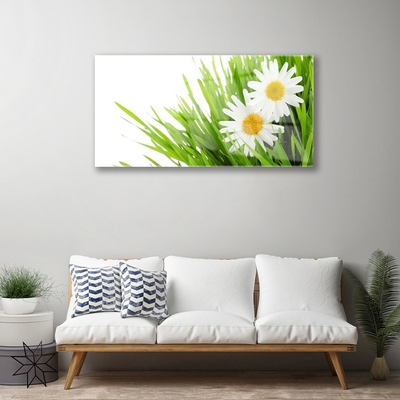 Image sur verre acrylique Marguerite herbe floral vert jaune blanc