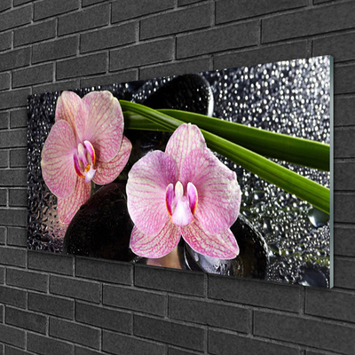 Image sur verre acrylique Fleurs souches floral vert rose