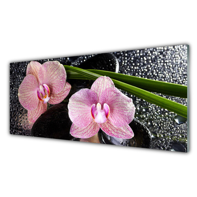 Image sur verre acrylique Fleurs souches floral vert rose