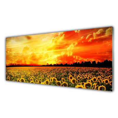 Image sur verre acrylique Prairie tournesol floral vert jaune brun