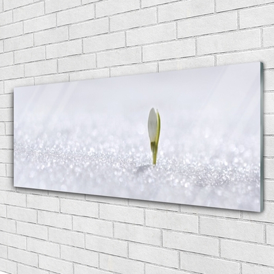 Image sur verre acrylique Fleur floral vert blanc