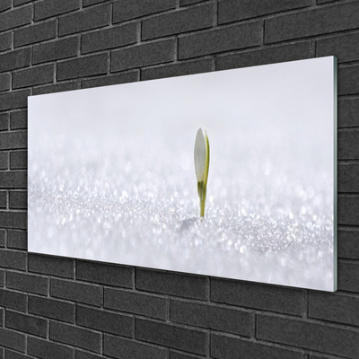Image sur verre acrylique Fleur floral vert blanc