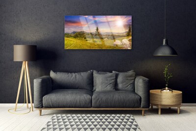 Image sur verre acrylique Pierres prairie soleil montagne nature jaune vert brun