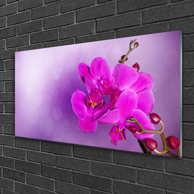Image sur verre acrylique Fleurs floral rose