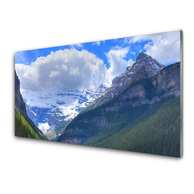 Image sur verre acrylique Montagnes paysage gris bleu blanc vert