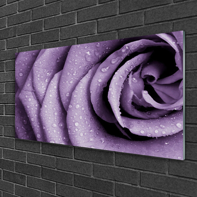 Image sur verre acrylique Rose floral violet