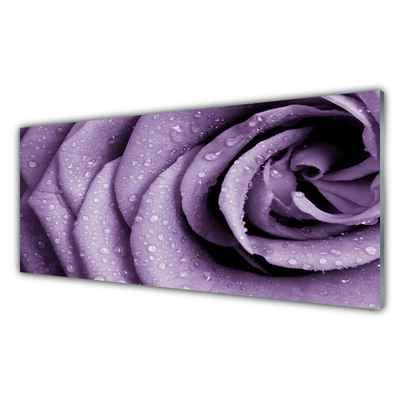 Image sur verre acrylique Rose floral violet