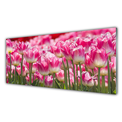 Image sur verre acrylique Tulipes floral vert blanc rouge