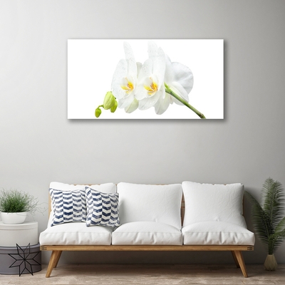 Image sur verre acrylique Fleurs floral blanc