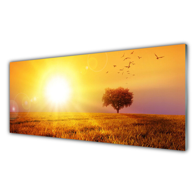 Image sur verre acrylique Prairie paysage jaune brun
