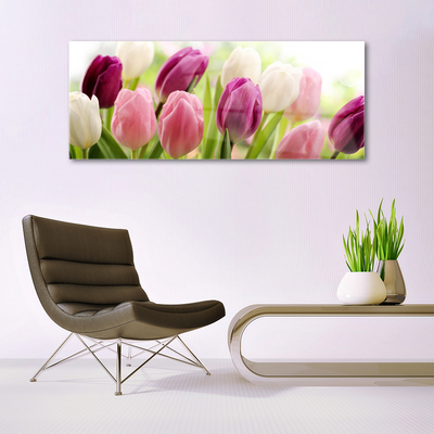 Image sur verre acrylique Tulipes floral blanc rouge rose