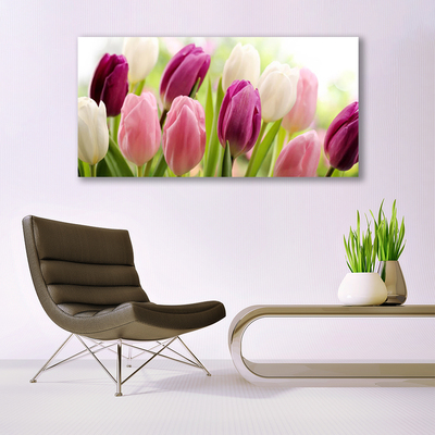 Image sur verre acrylique Tulipes floral blanc rouge rose