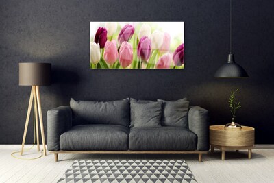 Image sur verre acrylique Tulipes floral blanc rouge rose