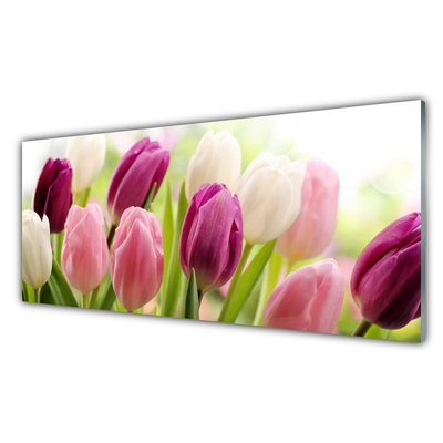 Image sur verre acrylique Tulipes floral blanc rouge rose