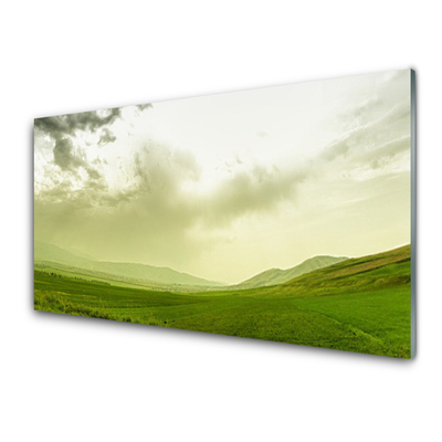 Image sur verre acrylique Prairie nature vert