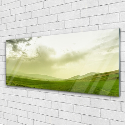 Image sur verre acrylique Prairie nature vert