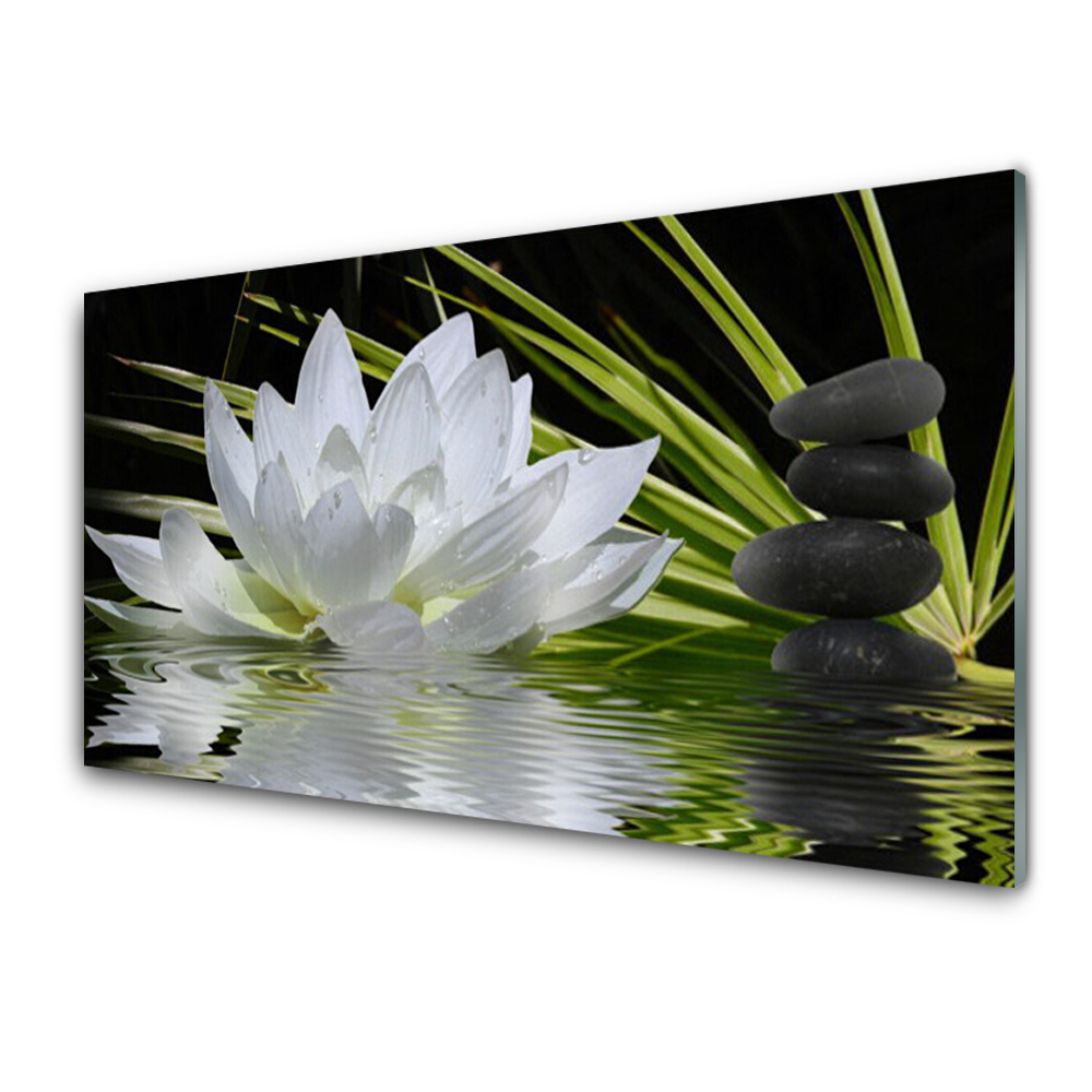 Image sur verre acrylique Fleur eau pierre floral blanc noir