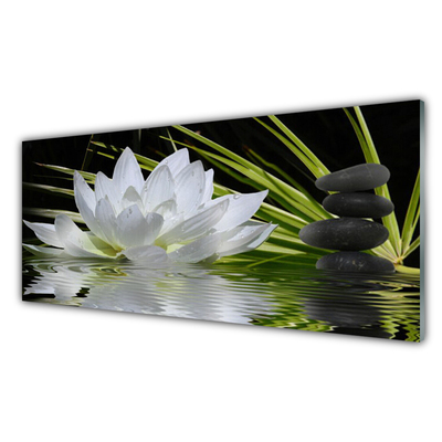 Image sur verre acrylique Fleur eau pierre floral blanc noir