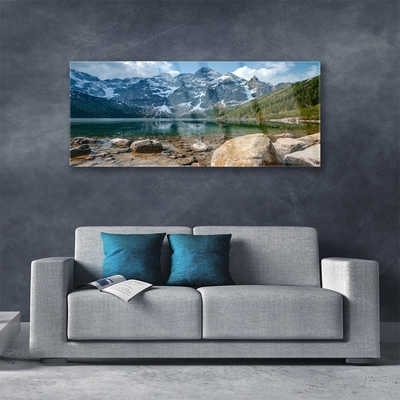 Image sur verre acrylique Forêt montagnes paysage gris vert brun