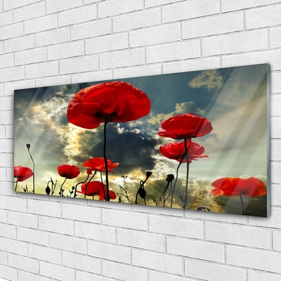 Image sur verre acrylique Coquelicots floral rouge
