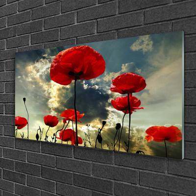 Image sur verre acrylique Coquelicots floral rouge