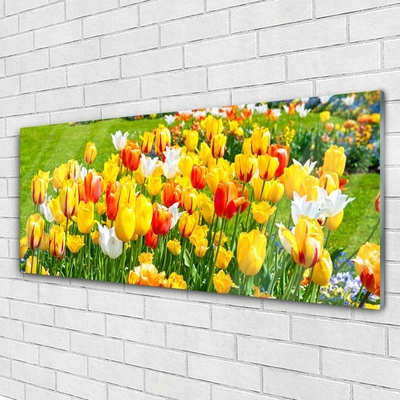 Image sur verre acrylique Tulipes floral jaune rouge blanc