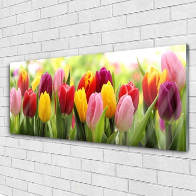 Image sur verre acrylique Tulipes floral rose rouge jaune