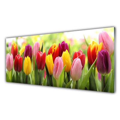 Image sur verre acrylique Tulipes floral rose rouge jaune
