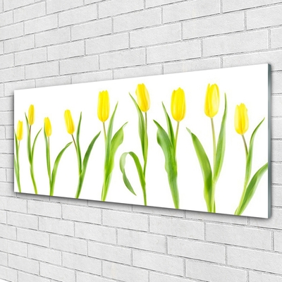 Image sur verre acrylique Tulipes floral jaune vert