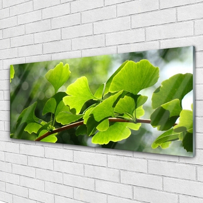 Image sur verre acrylique Feuilles branche floral brun vert