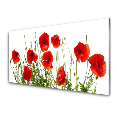 Image sur verre acrylique Coquelicots floral vert rouge