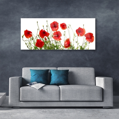 Image sur verre acrylique Coquelicots floral vert rouge