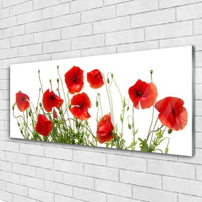 Image sur verre acrylique Coquelicots floral vert rouge