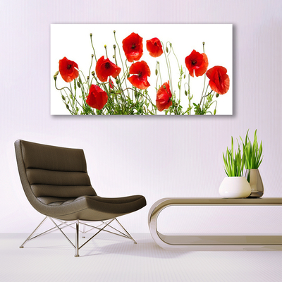 Image sur verre acrylique Coquelicots floral vert rouge