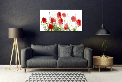 Image sur verre acrylique Coquelicots floral vert rouge