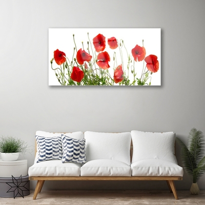 Image sur verre acrylique Coquelicots floral vert rouge