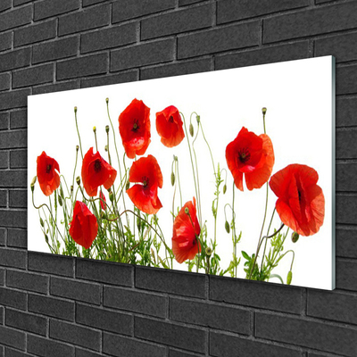 Image sur verre acrylique Coquelicots floral vert rouge