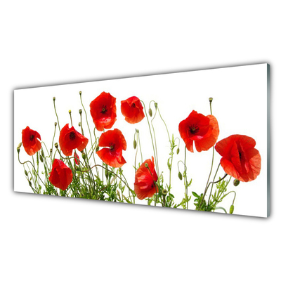 Image sur verre acrylique Coquelicots floral vert rouge