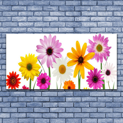 Image sur verre acrylique Fleurs floral multicolore