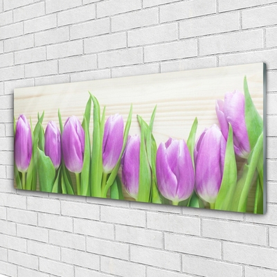 Image sur verre acrylique Tulipes floral rose vert