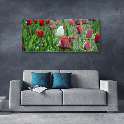 Image sur verre acrylique Tulipes floral rouge blanc vert