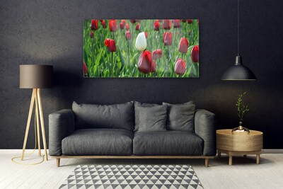 Image sur verre acrylique Tulipes floral rouge blanc vert