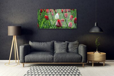 Image sur verre acrylique Tulipes floral rouge blanc vert