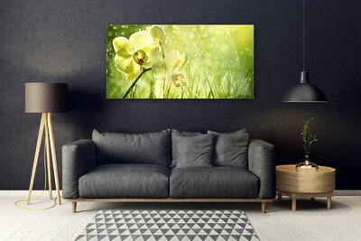Image sur verre acrylique Fleurs herbe floral vert