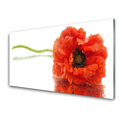 Image sur verre acrylique Fleur floral rouge